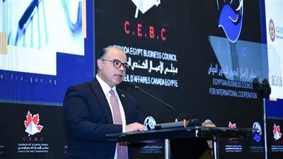 رئيس الرقابة المالية: نحتاج لزيادة نشاط بنوك الاستثمار في التوعية بصناديق التأمين الخاصة