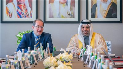 وزير المالية: نتطلع لاستضافة منتدى اقتصادى مصري بحريني خلال المرحلة المقبلة 