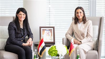 المشاط: تنويع مصادر التمويل للخطط والبرامج التنموية ودفع آليات الشراكة مع القطاع الخاص