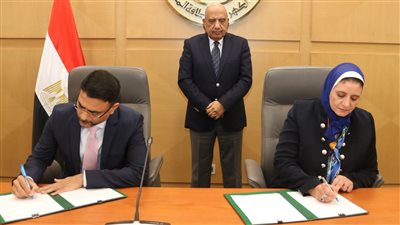 وزير الكهرباء: التخزين المستقل للطاقة لتحقيق أقصى استفادة ممكنة من الطاقات المتجددة