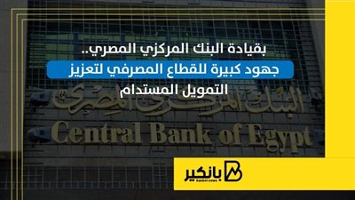 بقيادة البنك المركزي المصري.. جهود كبيرة للقطاع المصرفي لتعزيز التمويل المستدام
