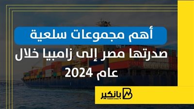 أهم مجموعات سلعية صدرتها مصر إلى زامبيا خلال عام 2024 | إنفوجراف 