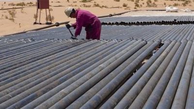 الجزائر تعتزم إطلاق مناقصة لتطوير 6 حقول نفط وغاز وتدشن مصفاة جديدة 