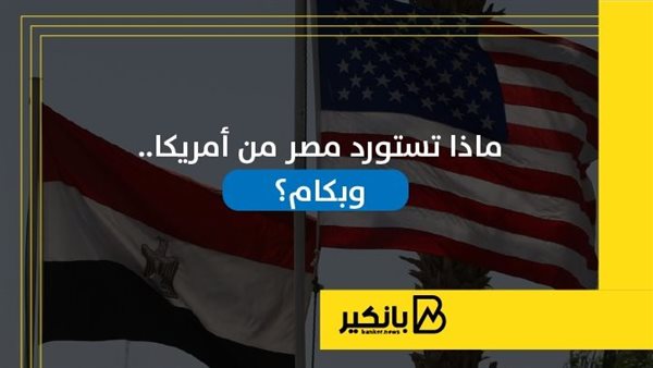 ماذا تستورد مصر من