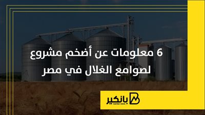 6 معلومات عن أضخم مشروع لصوامع الغلال في مصر