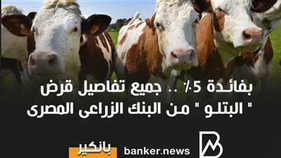 قرض البتلو من البنك الزراعي المصري.. فائدة 5% فقط وبدون مصارف إدارية  