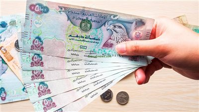 سعر الدرهم الإماراتي اليوم السبت 29-3-2025 في البنك المركزي المصري