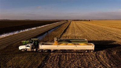 الرسوم الانتقامية تقهر المحاصيل الأمريكية.. طوفان يهدد 12 مليون طن من المبيعات