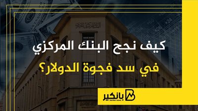 كيف نجح البنك المركزي المصري في سد فجوة الدولار؟ | إنفوجراف