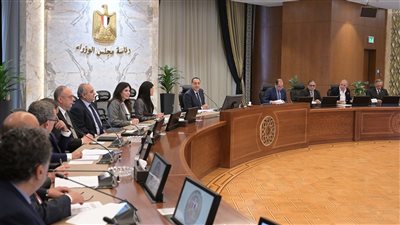 رئيس الوزراء: هناك رؤية واضحة خاصة بالجمارك تخدم  قطاع الاستيراد والتصدير