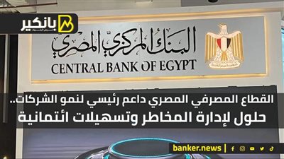 القطاع المصرفي المصري داعم رئيسي لنمو الشركات.. حلول لإدارة المخاطر وتسهيلات ائتمانية