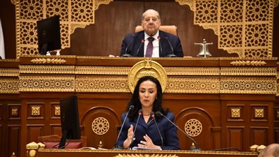 وزيرة التضامن توجه بصرف مساعدات عاجلة لأسر ضحايا حادث مصنع المحلة