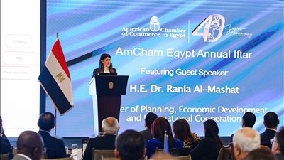 المشاط: المؤشرات الأولية تؤكد استمرار تحسن النمو الاقتصادي في الربع الثاني من العام المالي الجاري