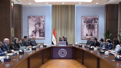 رئيس الوزراء يتابع موقف تأمين الاحتياجات الداعمة لمشروعات التنمية الزراعية بالدلتا الجديدة وسيناء