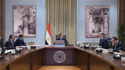 مدبولي يتابع مع وزيري المالية والبترول جهود تلبية الاحتياجات المحلية من المواد البترولية