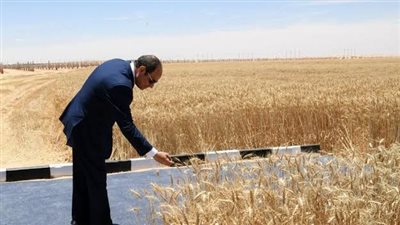 مشروع التنمية الزراعية بشرق العوينات.. مصر تحقق المستحيل بقلب الصحراء