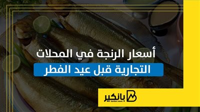 أسعار الرنجة في المحلات التجارية قبل عيد الفطر | إنفوجراف