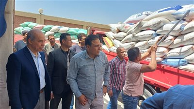 افتتاح موسم توريد القمح المحلي 2025 في الفيوم (صور)