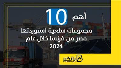 أهم 10 مجموعات سلعية استوردتها مصر من فرنسا خلال عام 2024 | إنفوجراف