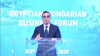 الخطيب: فرص تعاون بين مصر والمجر في الطاقة والصناعة والتكنولوجيا والتحول الرقمي 