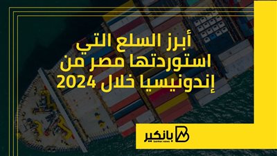أبرز السلع التي استوردتها مصر من إندونيسيا خلال 2024 | إنفوجراف