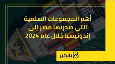 أهم المجموعات السلعية التي صدرتها مصر إلى إندونيسيا خلال 2024 | إنفوجراف 