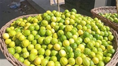 الليمون بـ 100 جنيه.. أسعار الخضروات والفاكهة اليوم الأحد 13-4-2025