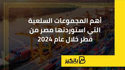أهم المجموعات السلعية التي استوردتها مصر من قطر خلال عام 2024 | إنفوجراف