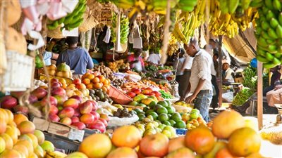 ارتفاع معدل التضخم في نيجيريا إلى 24.23% خلال مارس 2025