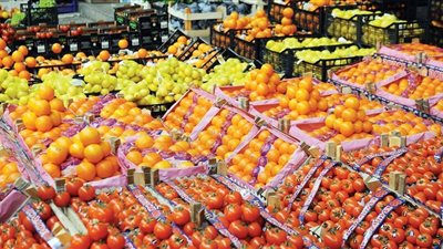 أهم الصادرات الزراعية المصرية في الربع الأول من عام 2025