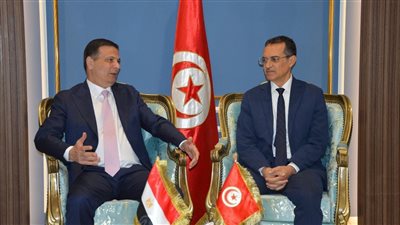 مش بس السعودية وقطر والكويت.. استثمارات تونسية جديدة تدخل السوق المصري 