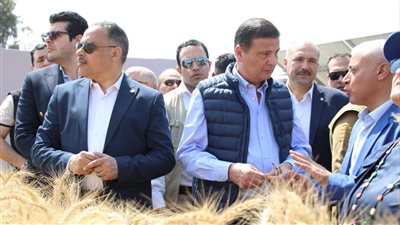 الزراعة: خفض تكاليف معدات الحصاد لمزارعي القمح لتصبح 1000 جنيه للفدان