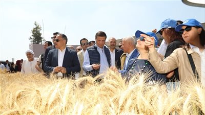 الزراعة: توفير 20 ماكينة حصاد آلي لمزارعي القمح بالشرقية.. وافتتاح محطة للري المطور