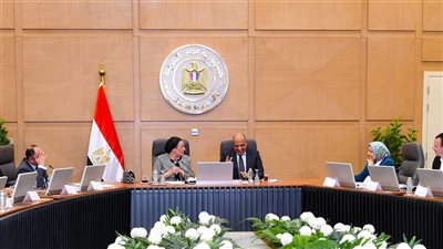 الكهرباء والبيئة تبحثان دعم التعاون في مشروعات طاقة الرياح مع مراعاة حماية الطيور المهاجرة