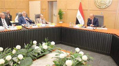 وزارة الكهرباء تعزز الاستثمارات بقرار فصل الشركة المصرية لنقل الكهرباء عن القابضة