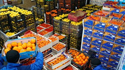 وزير الزراعة: قفزة في الصادرات الزراعية لتسجل 10.6 مليار دولار في 3 سنوات