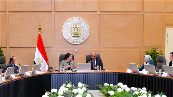 وزير الكهرباء ووزيرة