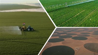 مشروعات عملاقة.. مصر تعيد أمجادها الزراعية