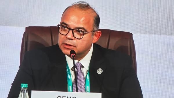 محمد فريد رئيس الهيئة