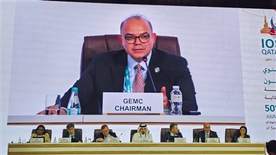  محمد فريد: نعمل على تعزيز قدرات الجهات الرقابية على أسواق رأس المال 