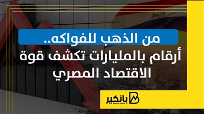 من الذهب للفواكه.. أرقام بالمليارات تكشف قوة الاقتصاد المصري | إنفوجراف 