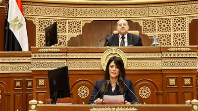 حكاية المشاط والـ 3.5 تريليون جنيه