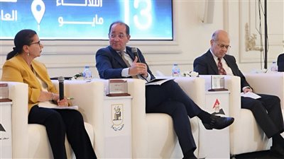 وزير المالية: ندرس طرح صكوك محلية وسندات تخاطب المواطنين وأخرى للمصريين بالخارج 