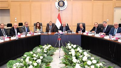 كامل الوزير: تعديلات هامة في البرنامج الوطني لتطوير صناعة السيارات ليشمل حوافز متنوعة