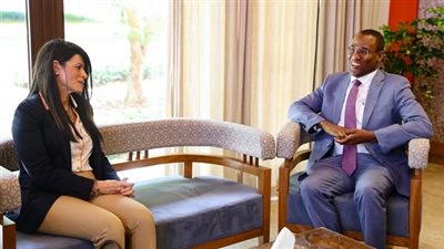 المشاط: تنسيق السياسات المالية والنقدية يدعم نمو الاقتصاد المصري وسط تحديات عالمية