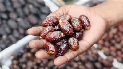 الحكومة تنفي استيراد تمور من إسرائيل وتؤكد صدارة مصر للإنتاج العالمي