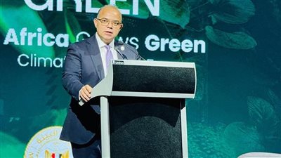 الرقابة المالية: بدون الوصول للتمويل ستظل المشروعات المستدامة حبر على ورق 