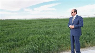 السيسي: نأمل إضافة 800 ألف فدان جديدة إلى المساحة الزراعية بحلول أغسطس المقبل