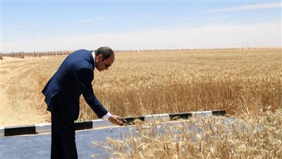 مصر في عهد السيسي.. مشروعات صناعية كبرى وتنمية زراعية وعمرانية وبناء الإنسان على رأس أولويات الرئيس