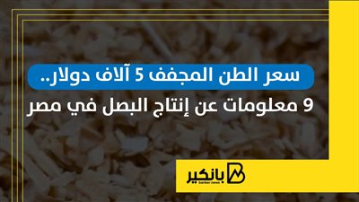 سعر الطن المجفف 5 آلاف دولار.. 9 معلومات عن إنتاج البصل في مصر | إنفوجراف